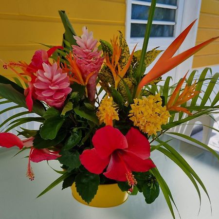 Ti Pecheur Bed & Breakfast แซ็งต์-ลูซ ภายนอก รูปภาพ